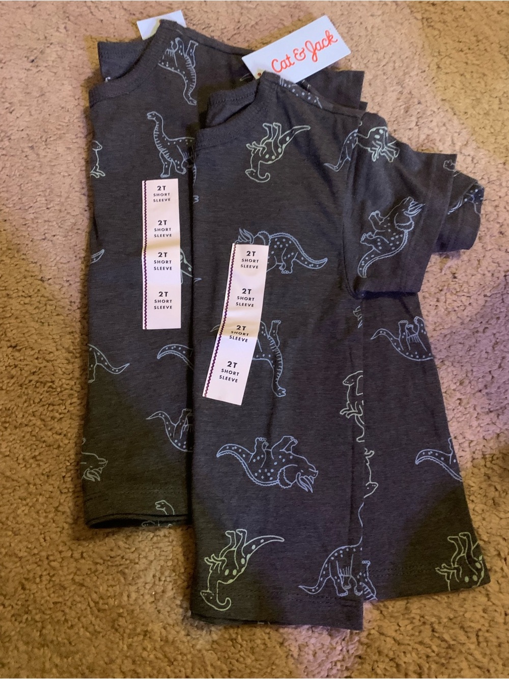 2 Tee Bundle- Cat & Jack Dinosaur Print Tees - 2T